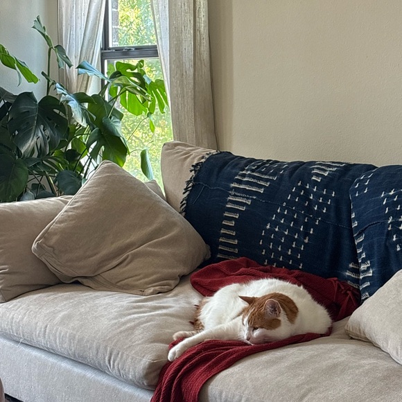 Meet your Posher, Kelsey - Picture 6 of 10